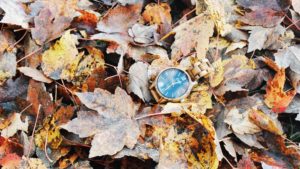 jord wooden watch in leaves