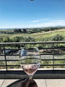wine with a view in napa