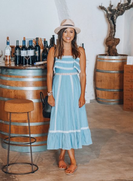 chicwish chambray dress with j crew panama hat in marseille