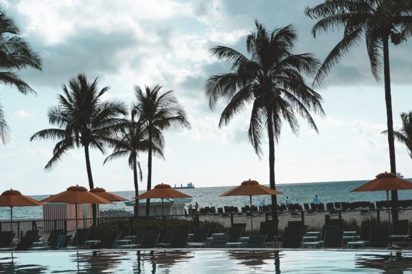 b ocean resort infinity pool palm trees