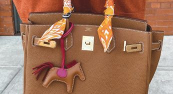 How I Got My First Hermes Birkin