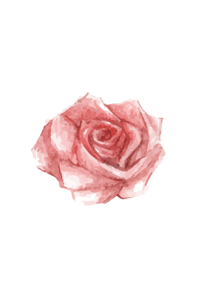pink rose spring story sticker