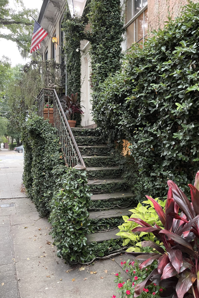 savannah georgia ivy covered stairs