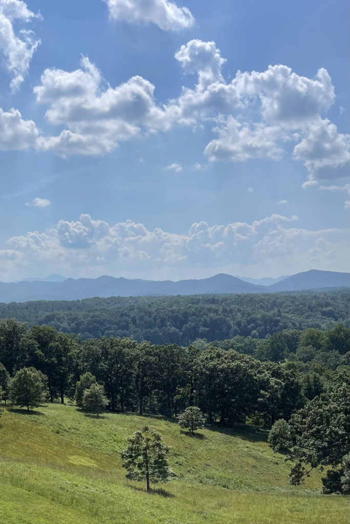 biltmore asheville view