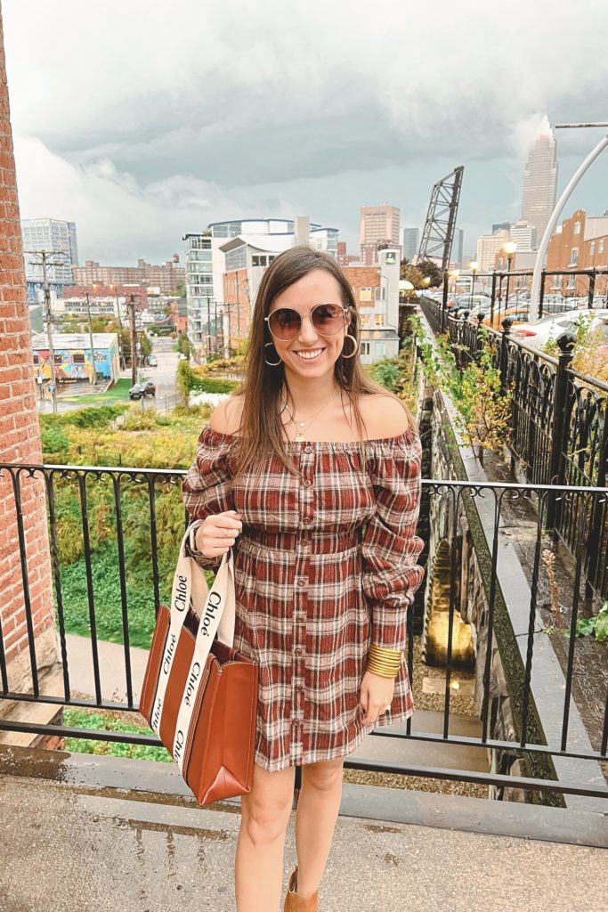 just this once plaid dress with chloe woody tote in cleveland