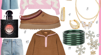 Favorite November 2022 Purchases