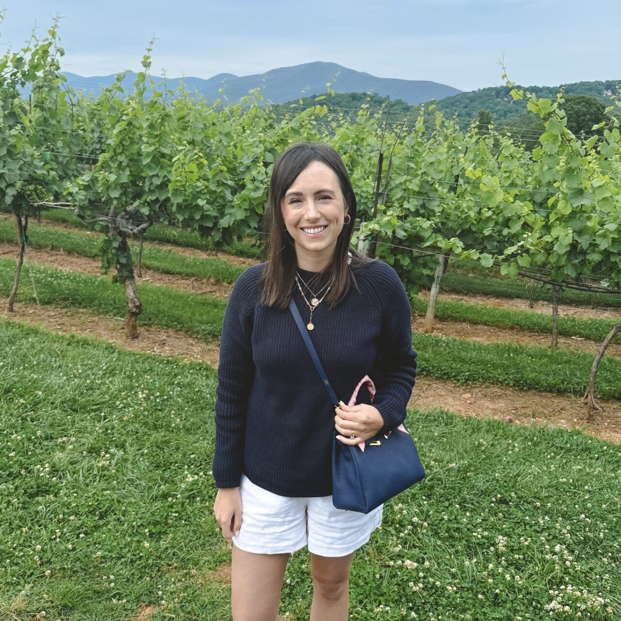 Favorite North Georgia Wineries