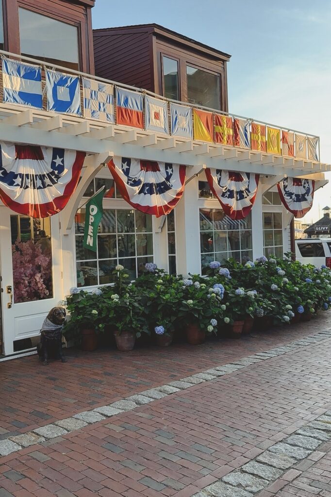 Kiel james patrick newport