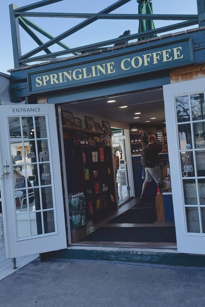 springline coffee newport rhode island