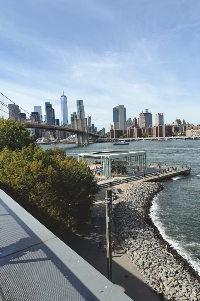 View from time out market roof top